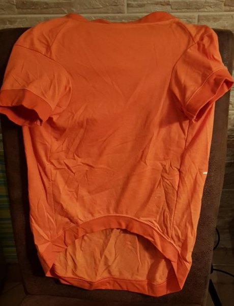Halloweenshirt für Hunde