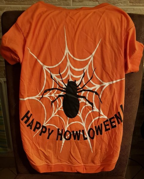 Halloweenshirt für Hunde